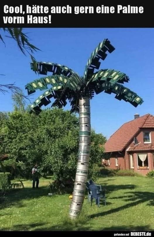Cool. - hätte auch gern eine Palme vorm Haus!
