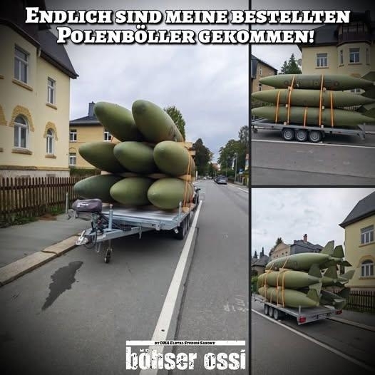 ENDLICH - SIND MEINE BESTELLTEN 
POLENBÖLLER GEKOMMEN!