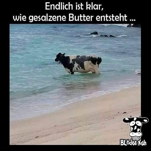Endlich ist klar, - wie gesalzene Butter entsteht ...