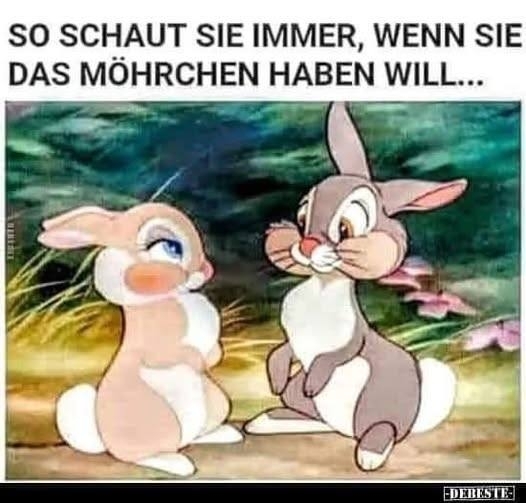 SO SCHAUT SIE IMMER, WENN SIE - DAS MÖHRCHEN HABEN WILL...