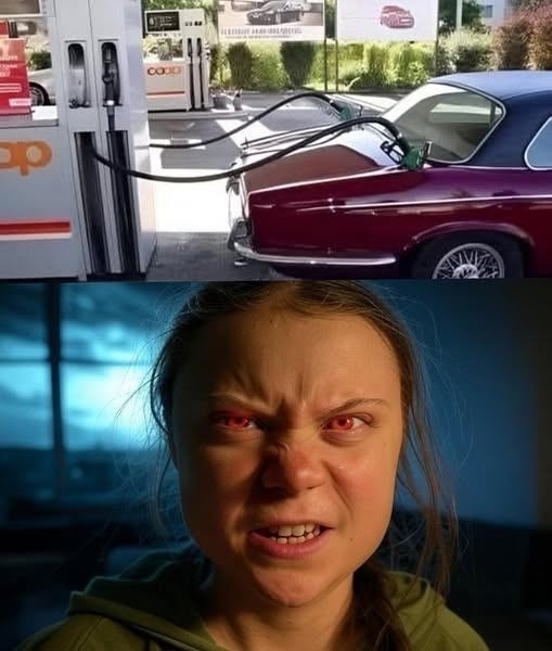 BAD Greta Thunberg