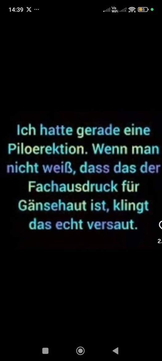 Ich hatte gerade eine - Piloerektion. Wenn man
nicht weiß, dass das der 
Fachausdruck für 
Gänsehaut ist, klingt
das echt versaut.
