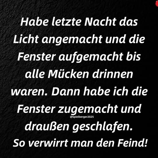Habe letzte Nacht - das Licht angemacht und die Fenster aufgemacht bis alle Mücken drinnen waren. Dann habe ich die Fenster zugemacht und draußen geschlafen. So verwirrt man den Feind!