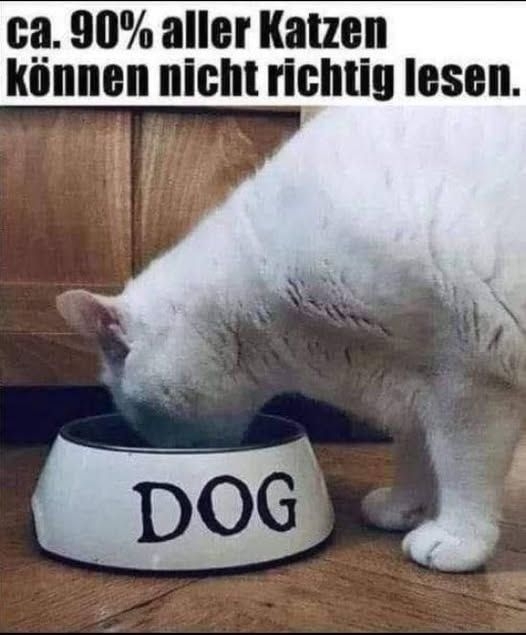 ca. 90% aller Katzen - können nicht richtig lesen.
- DOG
