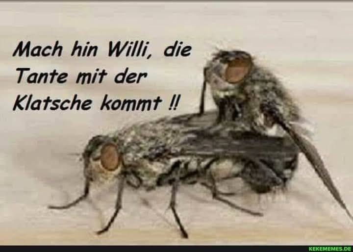 Mach hin Willi, die - Tante mit der
Klatsche kommt !!