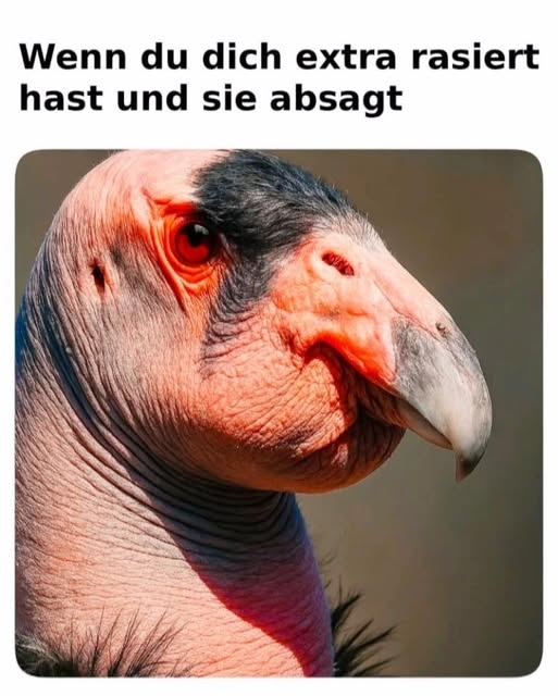 Wenn du dich extra rasiert hast - und sie absagt