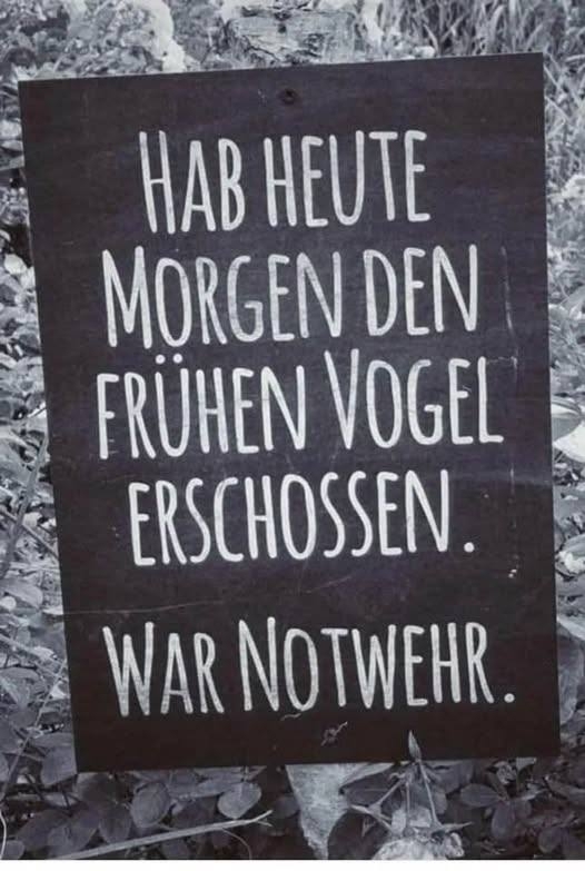 HAB HEUTE MORGEN  - DEN FRÜHEN VOGEL ERSCHOSSEN.
WAR NOTWEHR.